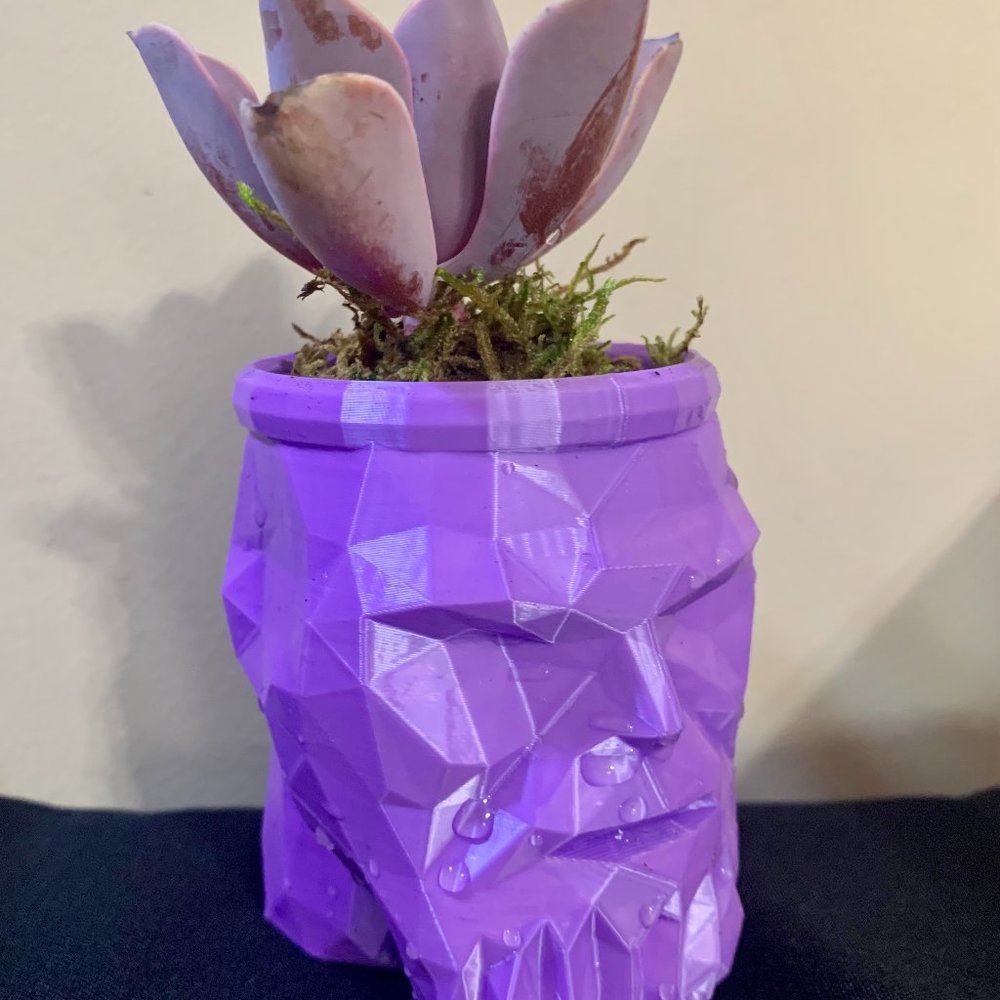 Comic Book Purple Titan Thanos 3D Printed Succulent Planter Pot Pencil Cup Desk